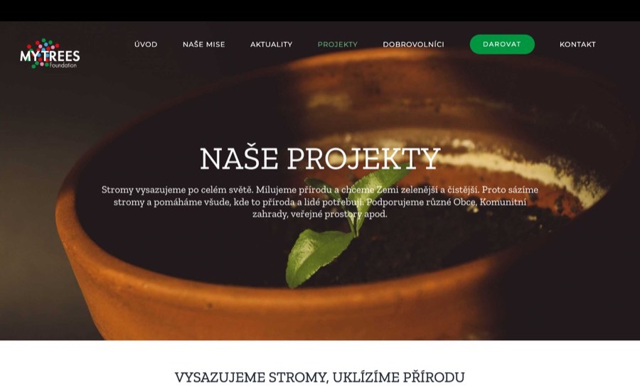 The projects the foundation funds